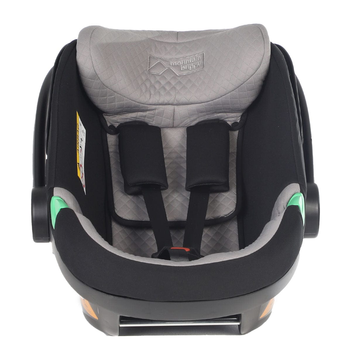 Mountain buggy car seat online