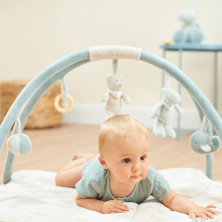 Nattou Play Mats Nattou Romeo Playmat With Arches - Jules & Sally