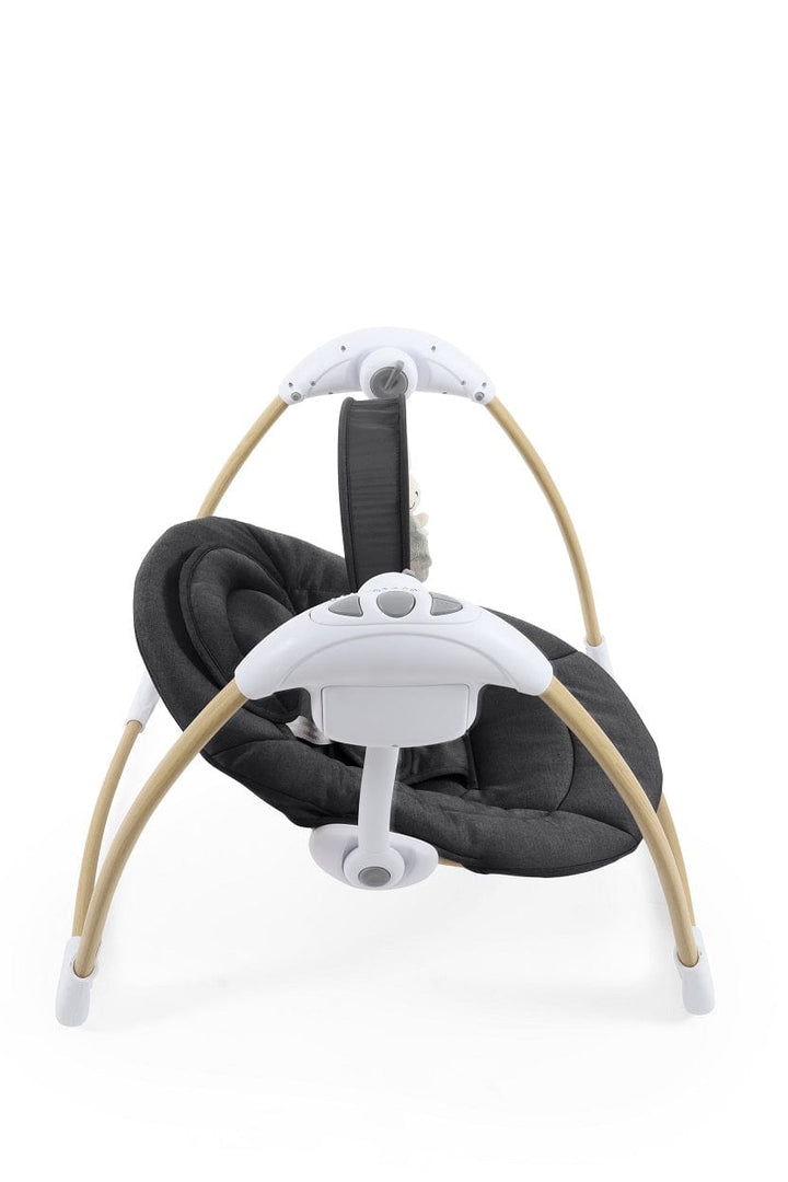 Oyster Baby Swings BabyStyle Oyster Swing - Carbonite