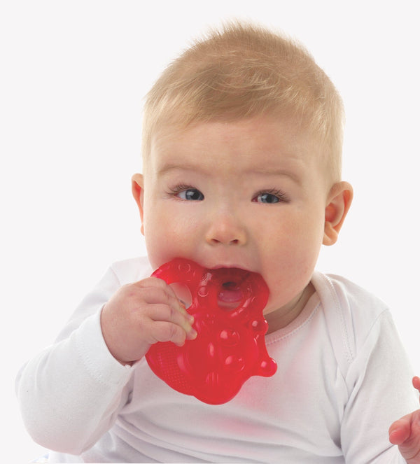 Playgro Toys Playgro Bee Water Teether (2 Pack, Assorted Colours)