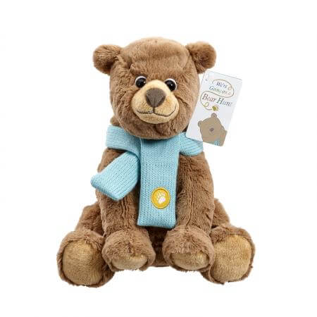 Rainbow Designs Toys We Are Going On A Bear Hunt - Soft Toy