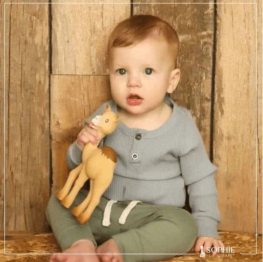 Sophie la Girafe Pacifiers & Teethers Sophie la Girafe Al'Thir the Companion