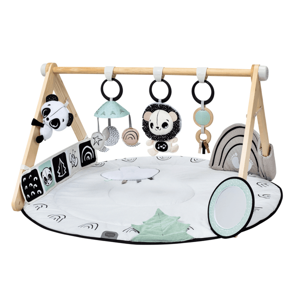 Tiny Love Playtime & Development Tiny Love Décor Luxe Gymini - Black & White